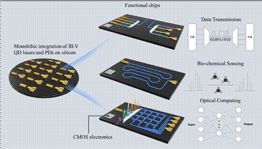 霍尔IC、霍尔元件、霍尔传感器、霍尔开关、霍尔芯片、磁传感器